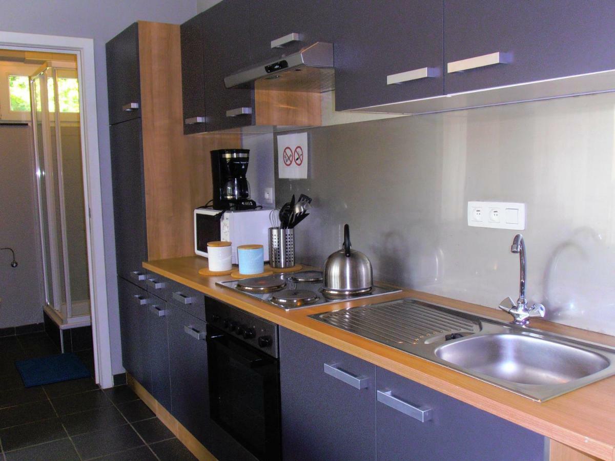 Studio Le Vedeur Avec Balcon Vue Sur Riviere Durbuy Exteriér fotografie